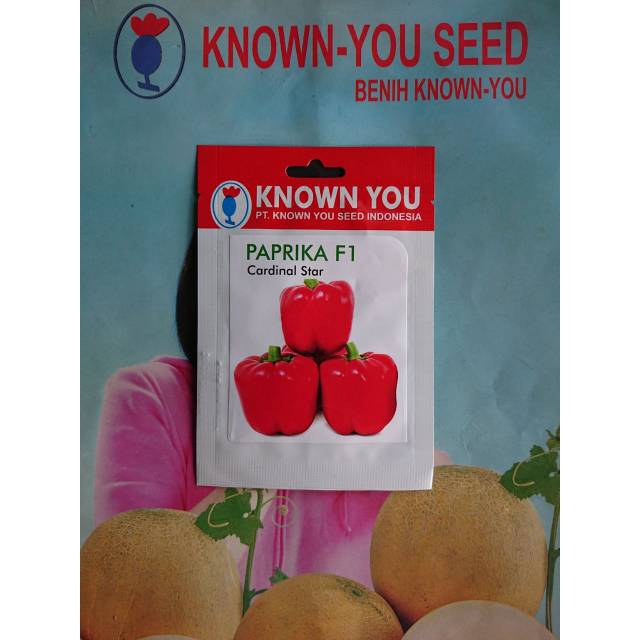 Benih Biji Bibit Paprika Merah CARDINAL STAR F1