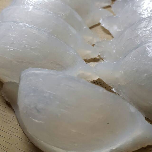 Sarang Walet Palsu/Sarang Walet Imitasi/Sarang Walet Plastik