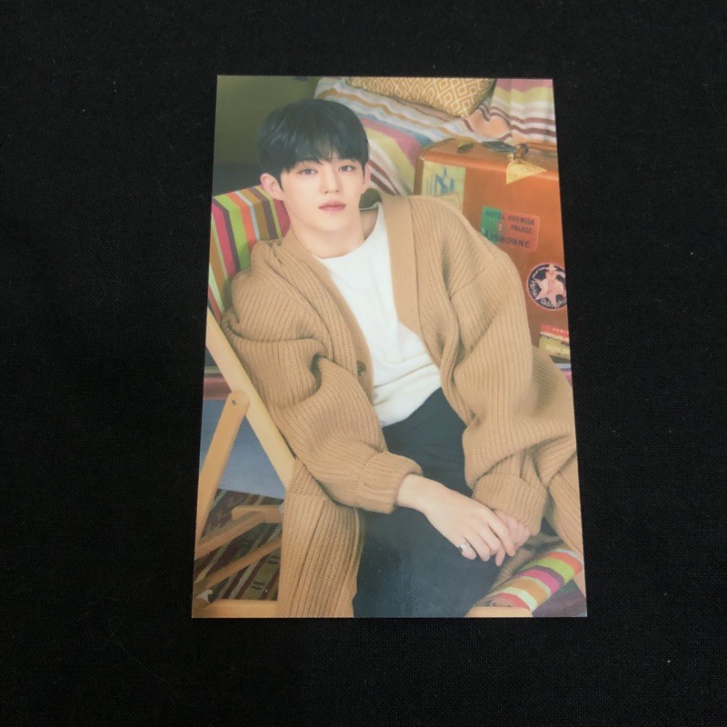 Caratland 2019 Scoups