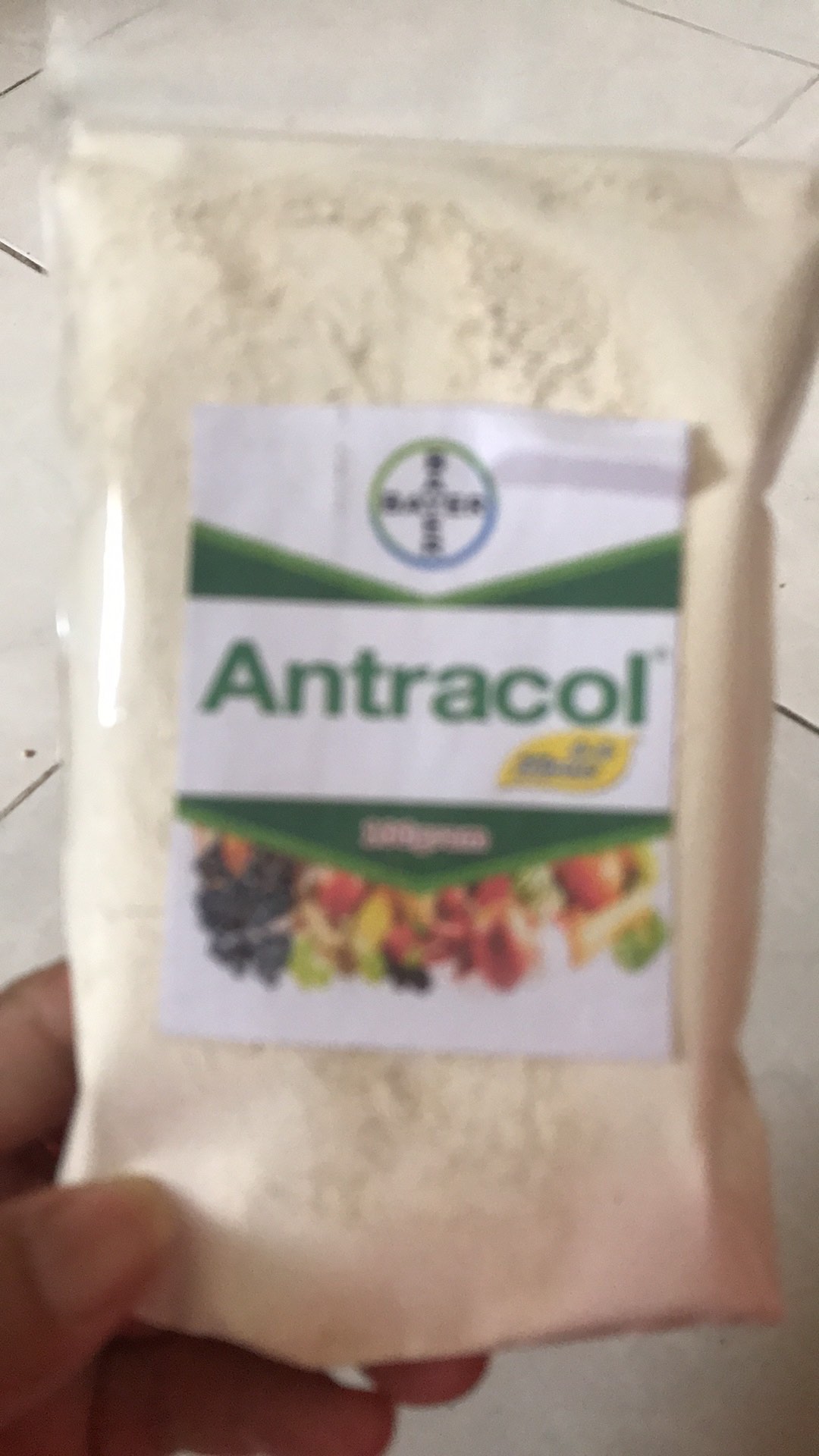 Fungisida Antracol 70wp (original) Repack 30 Gram - 100gram