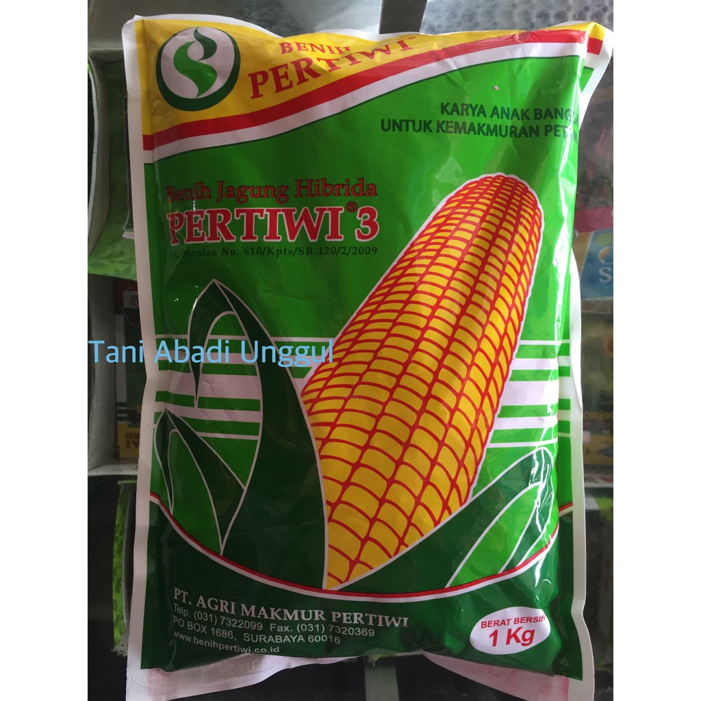 Benih Jagung Hibrida PERTIWI 3