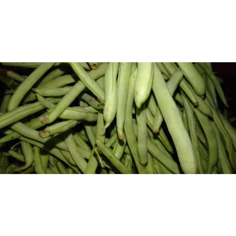 

Sayur Buncis segar 250gram