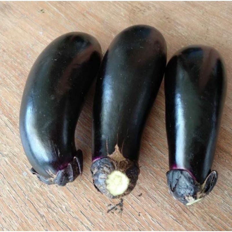 

Terong Jepang/Nasubi Organik 1kg