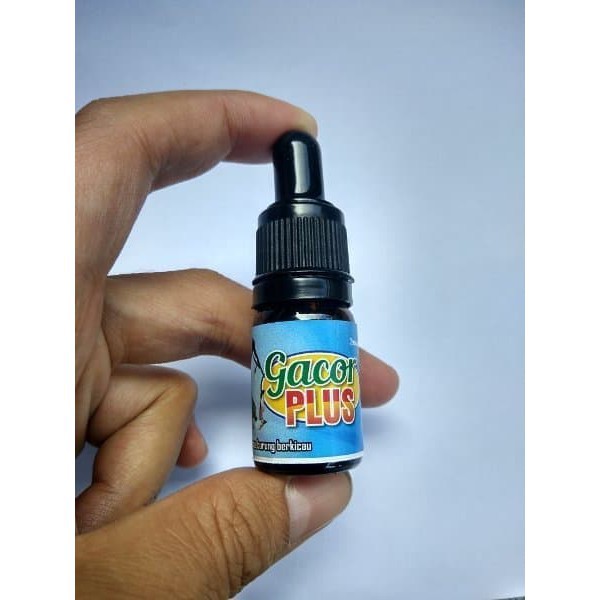 Terlaris  GACOR PLUS. Mengatasi Burung Macet Bunyi Karena Mabung. Lovebird Rumah  ✔-1