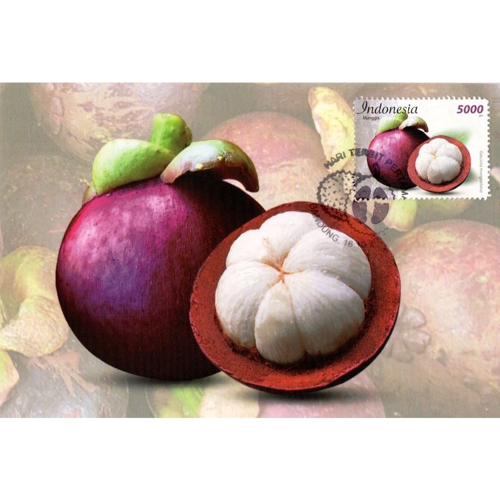 

Maxi Card 2017 Perangko Indonesia Seri Buah Nusantara Manggis