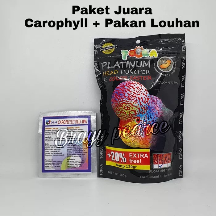 Paket hemat Carophyll DSM dengan pakan ikan louhan Murah