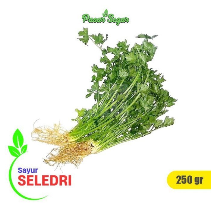 

Seledri 1 ikat 250g