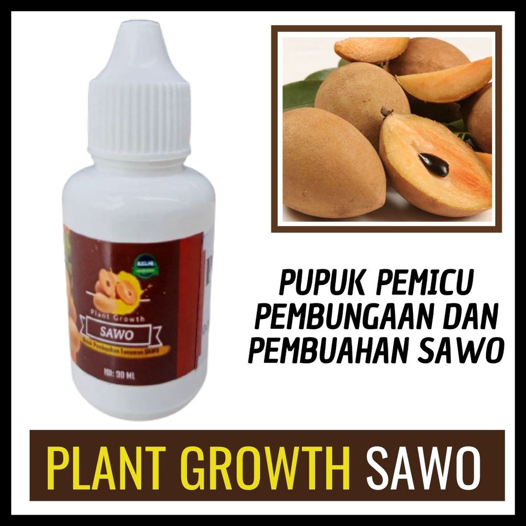 Pupuk Hormon Sawo, Reliq Pupuk Pemicu Pembungaan dan Pembuahan Sawo