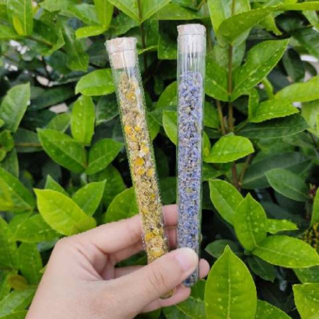

Teh Bunga Chamomile dan teh Bunga Lavender