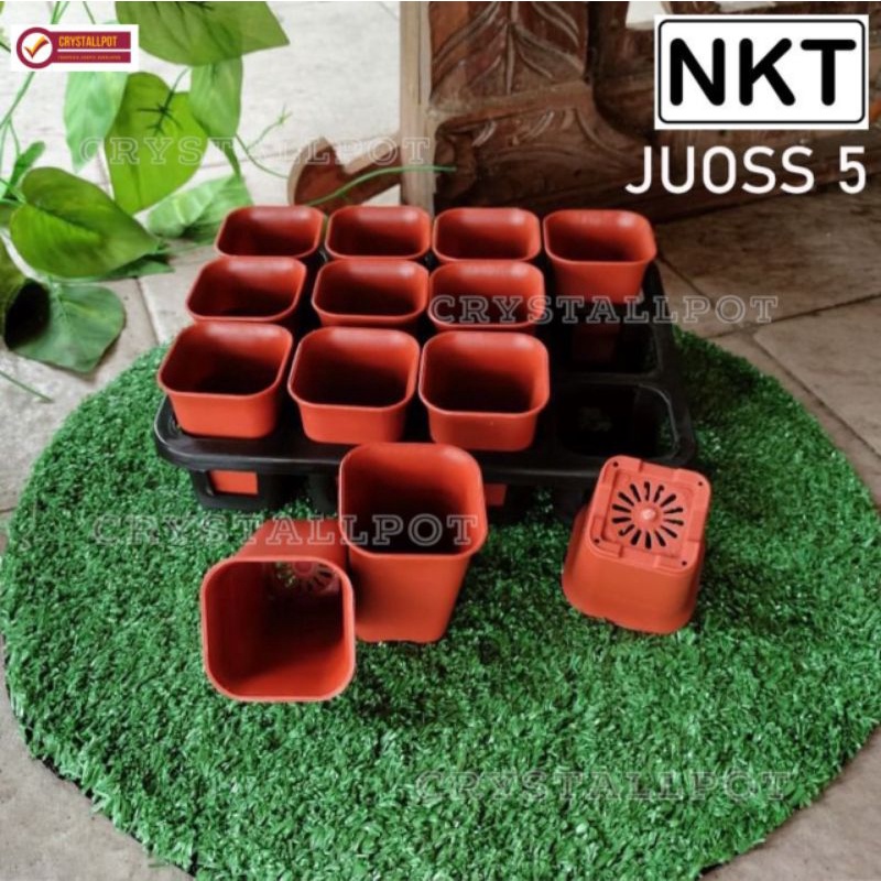 1 set Tray + pot bunga nkt kotak 5cm MERAH BATA | tray semai bibit