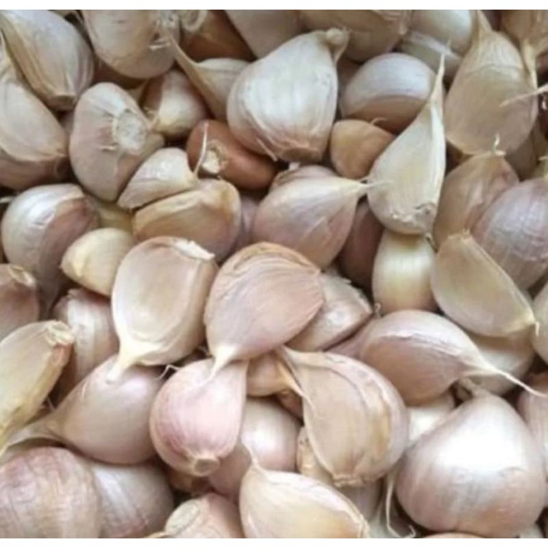 

Bawang Putih