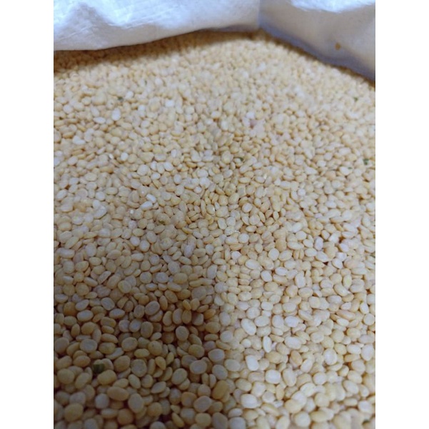 

kacang hijau kupas