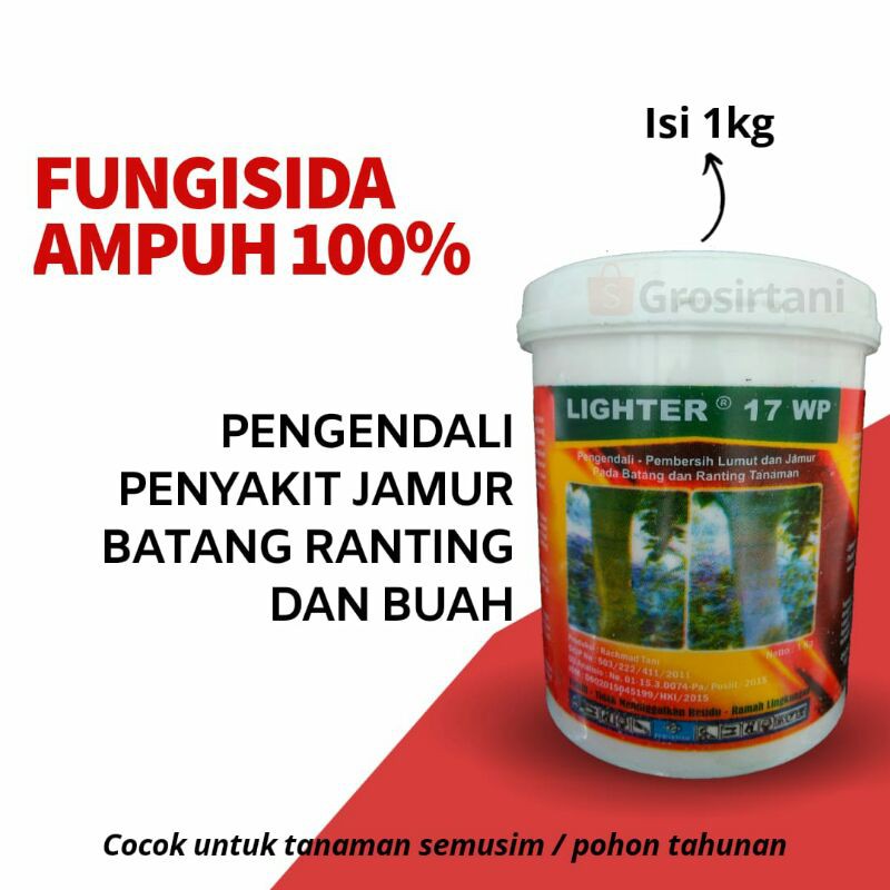 LIGHTER 17WP - FUNGISIDA KONTAK PENGENDALI PEMBERSIH LUMUT DAN JAMUR BUAH BATANG RANTING AMPUH
