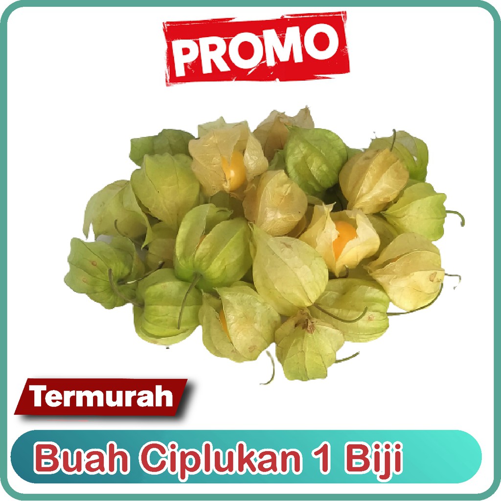 

Ciplukan 50 gram fresh