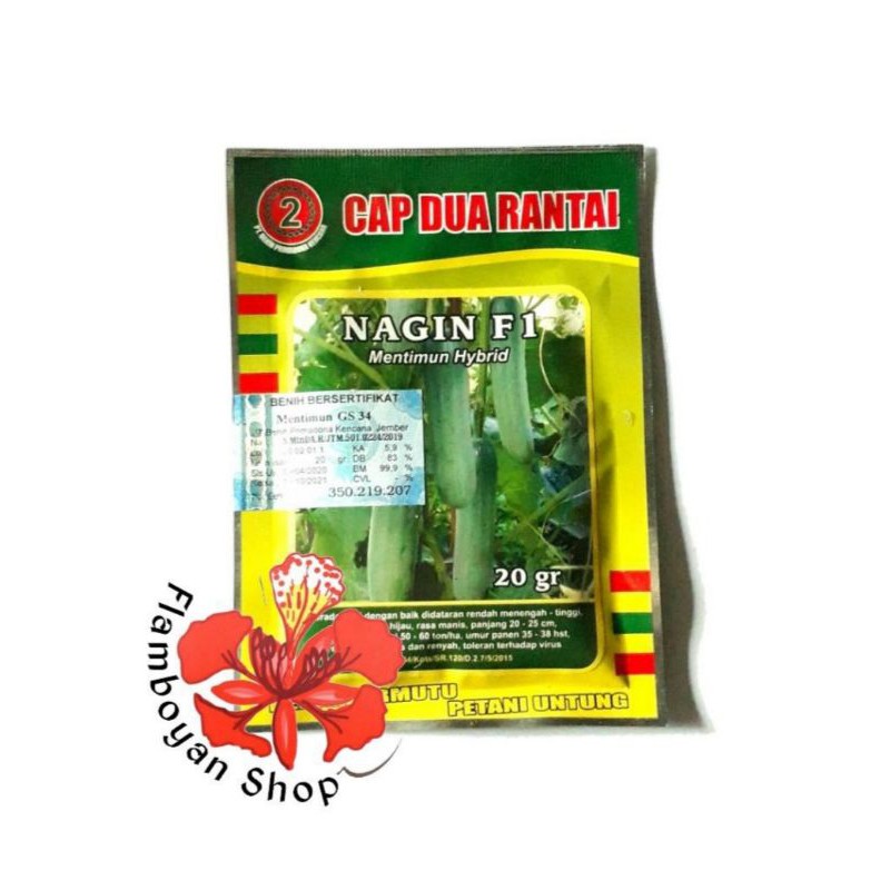 Benih timun hibrida f1 NAGIN 20gr