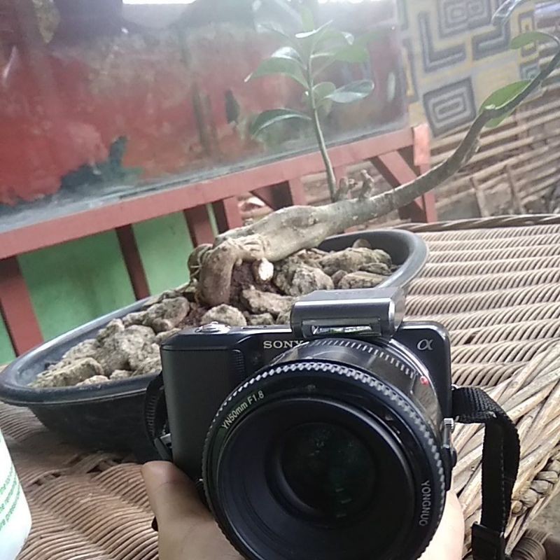 SONY AL NEX 3+Lensa Fix