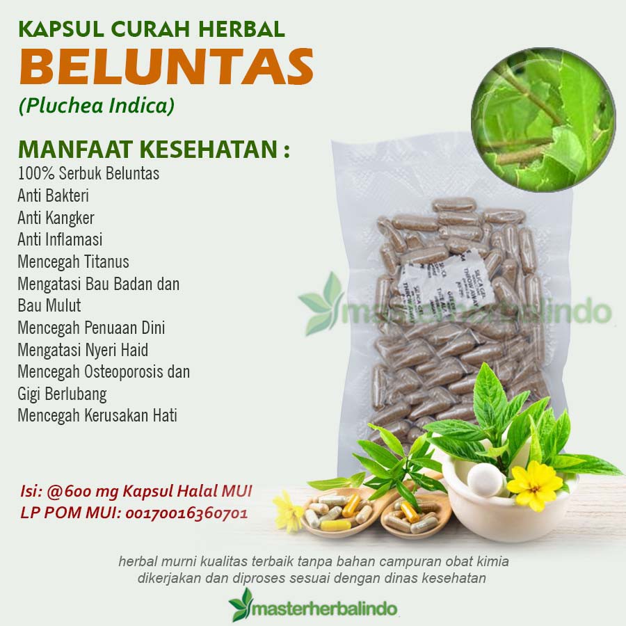 

BELUNTAS 100 Kapsul Herbal Keputihan Rematik Migrain Osteoporosis Hati