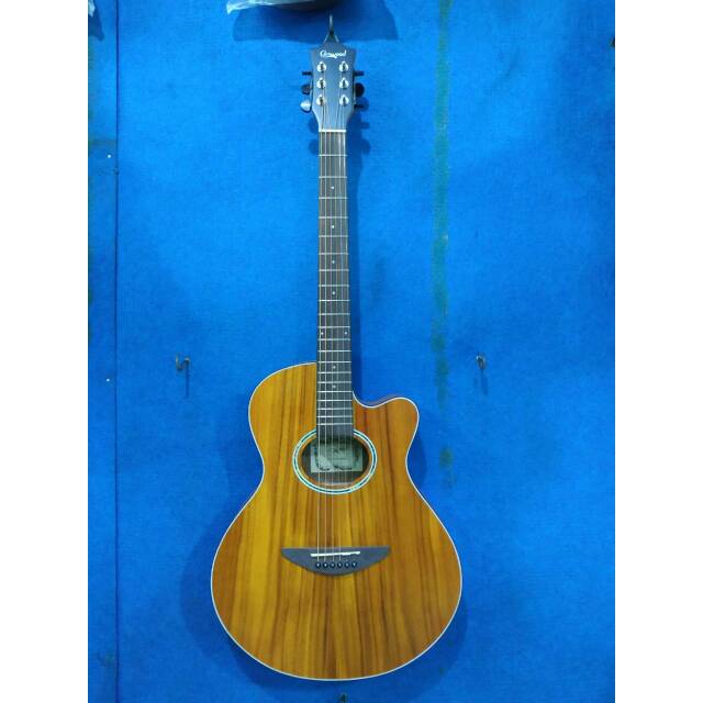 Gitar Akustik Merk Camwood Original Tipe IWC-38 NSK Solid Slim Senar String Trusrod Murah Jakarta