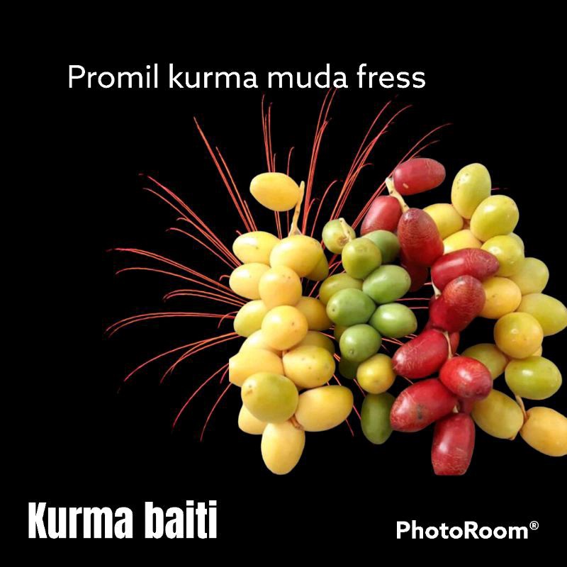 

Kurma muda pelangi 200gram promil fress
