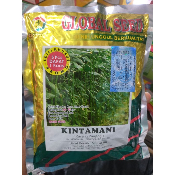 BENIH KACANG PANJANG KINTAMANI 500 GRAM