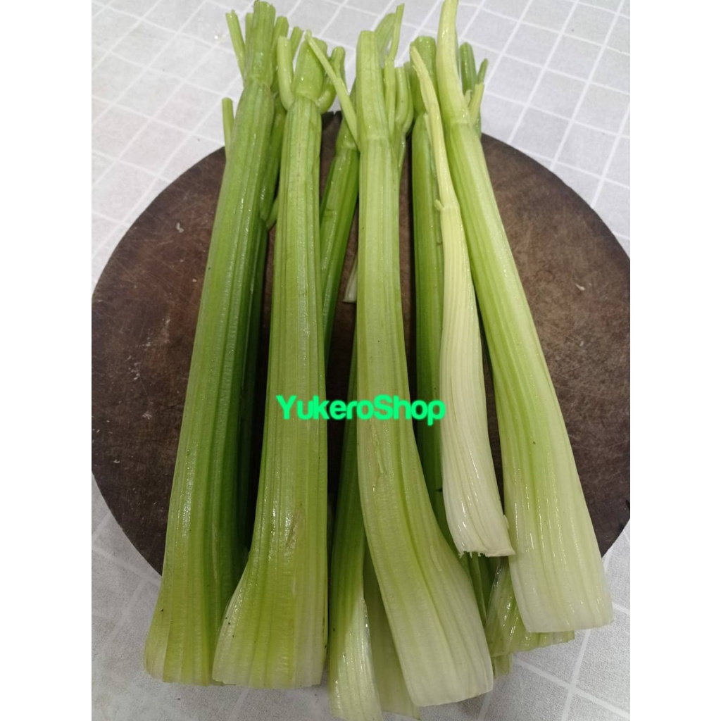 

RB Celery Stick Import / Seledri Impor Fresh per KG