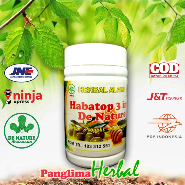 

HABATOP DE NATURE PANGLIMA HERBAL