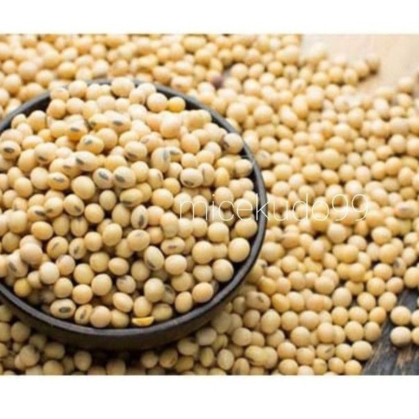 

NATURAL ORGANIC SOY BEAN 500 GRAM / SOYA ORGANIK KACANG KEDELAI
