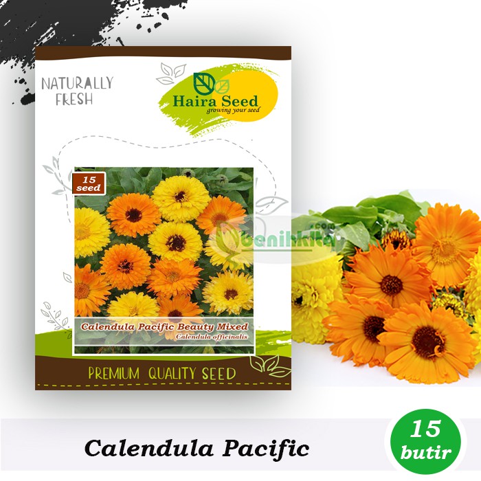 Benih-Bibit Bunga Calendula Pacific Beauty Mix (Haira Seed)