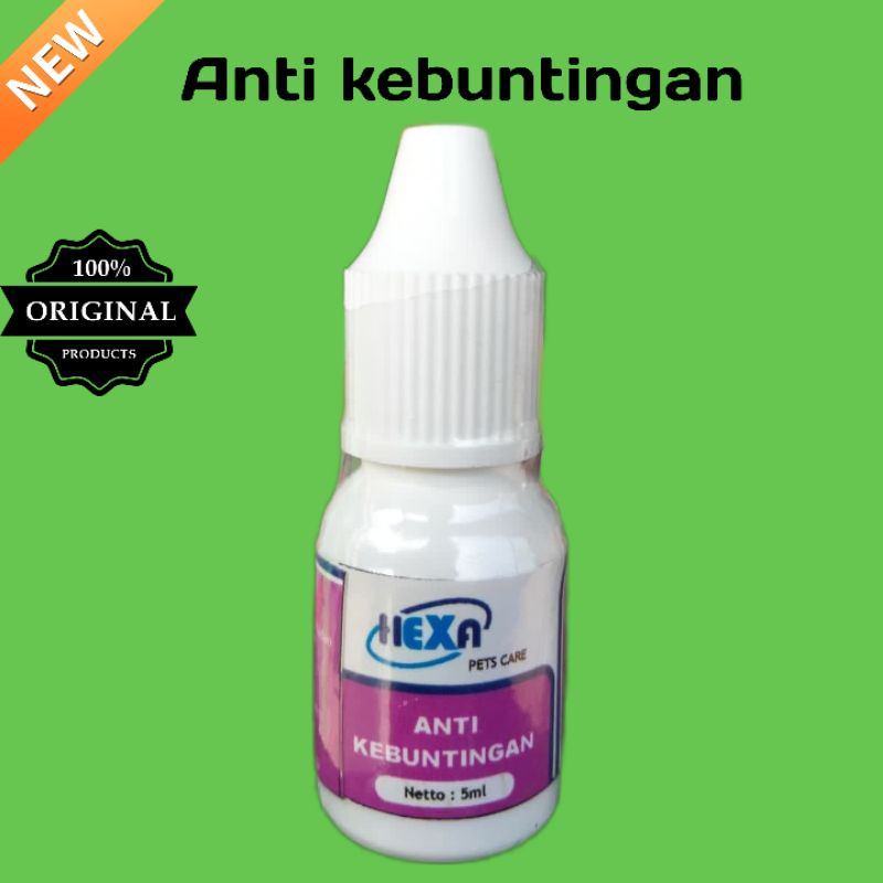 HeXa anti kebuntingan Kucing, KB kucing, mandul, KB Kucing