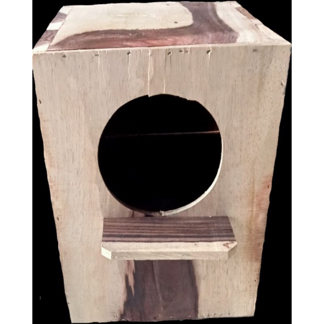 Glodok Jalak Murai Pintu Belakang Lubang Masuk Besar