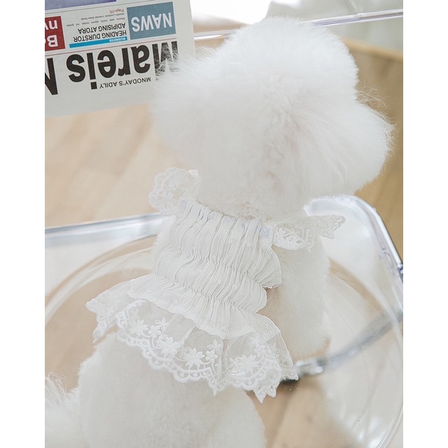 sha sha korea lacey dress