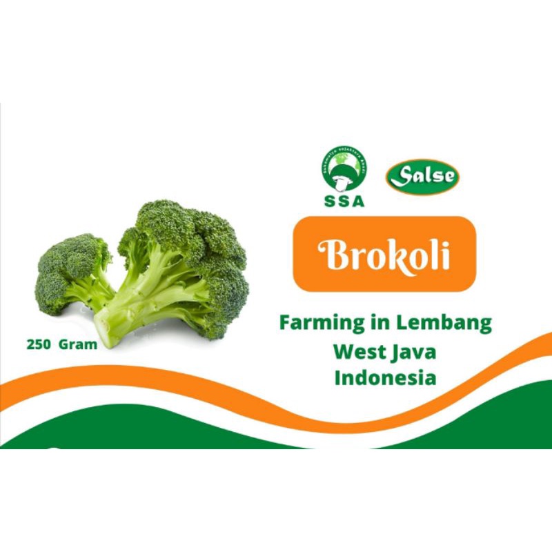 

BrokoliGundulAjibs