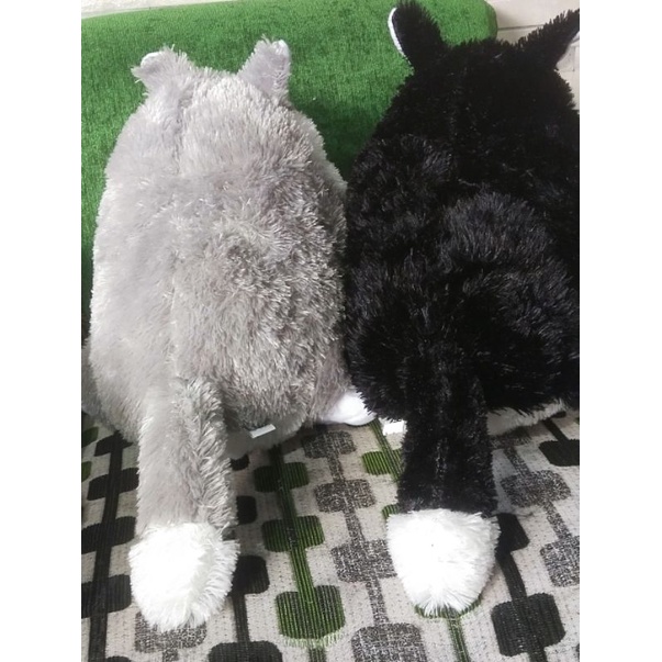 Boneka kucing boneka kucing anggora bahan lembut