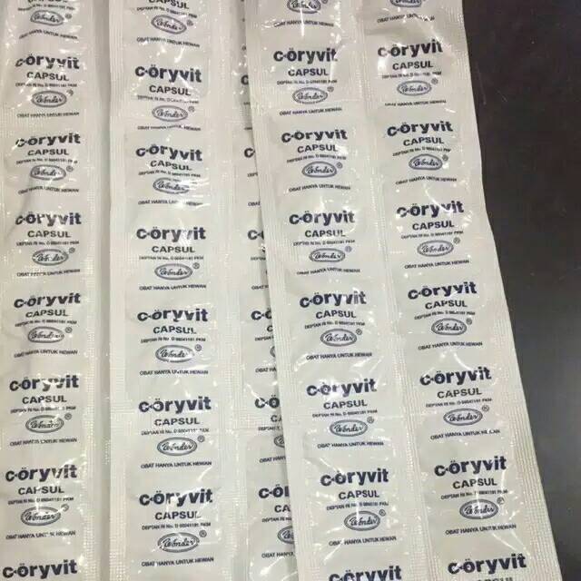 Antibiotik CORYVIT serbuk / kapsul