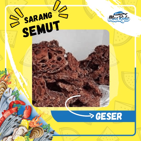 

Sarang Semut Asli Kering Herbal Kwalitas Super Harga Murah