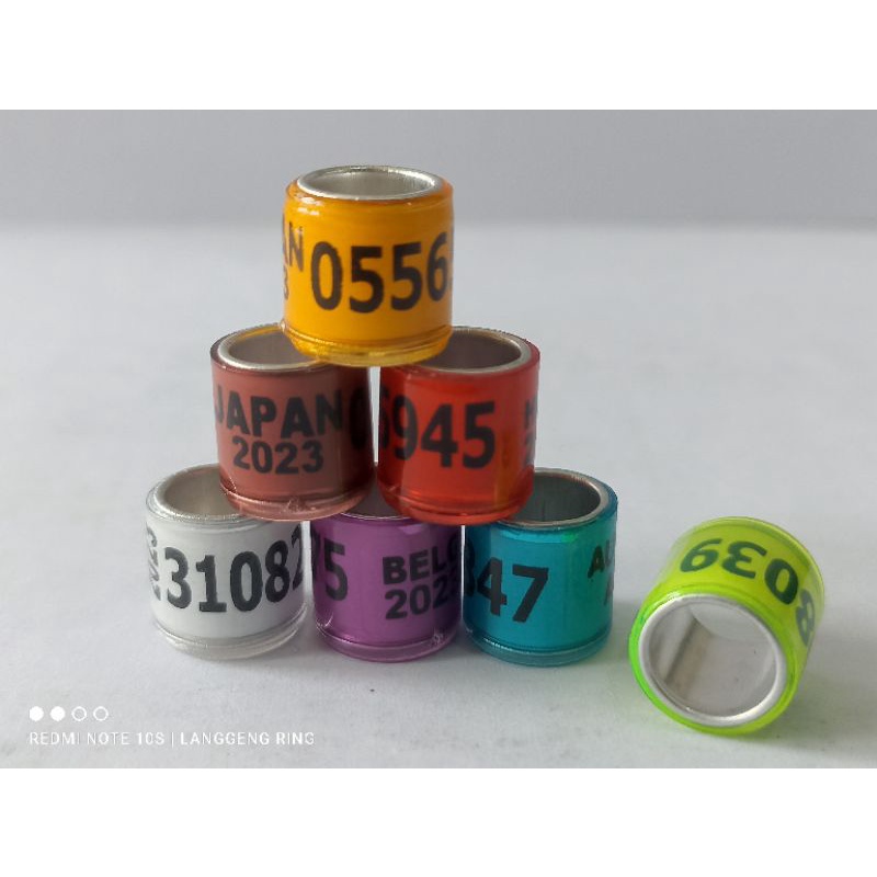 RING MERPATI IMPOR 2023 MPOS BALAP KENTONG