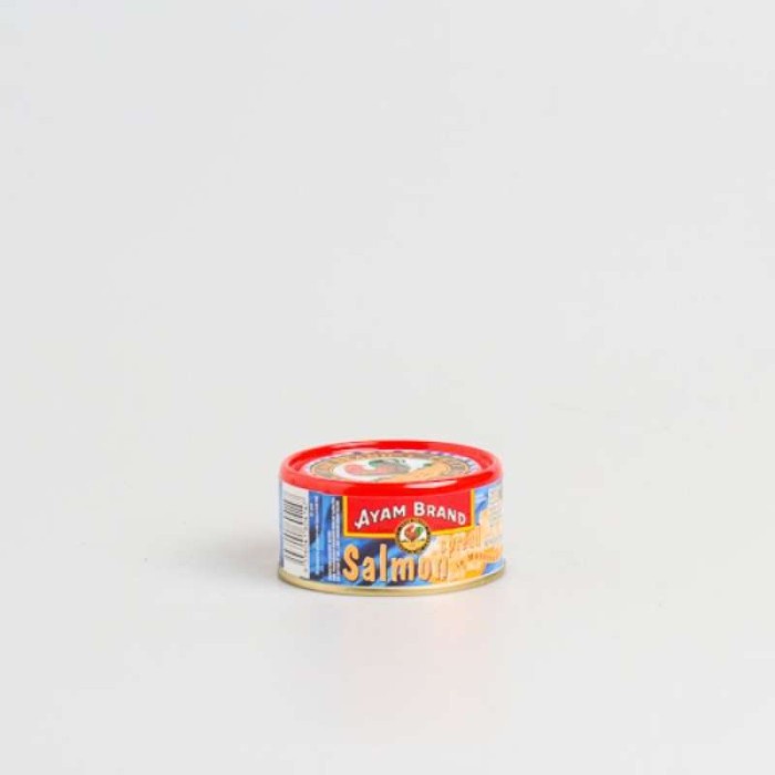 

Ayam brand salmon spead 160gr can