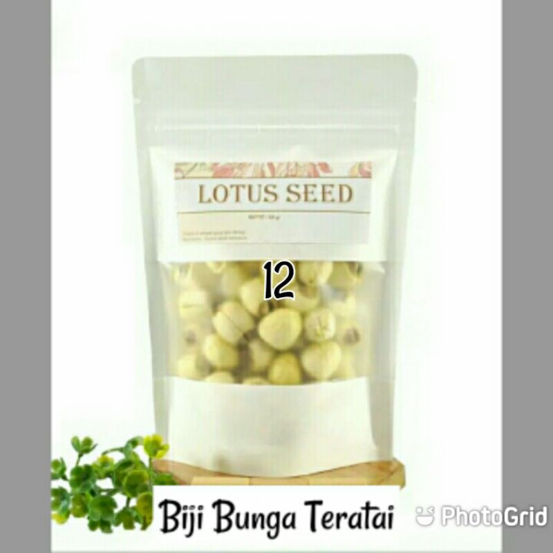 

Lotus Seed / Biji Teratai 200gr
