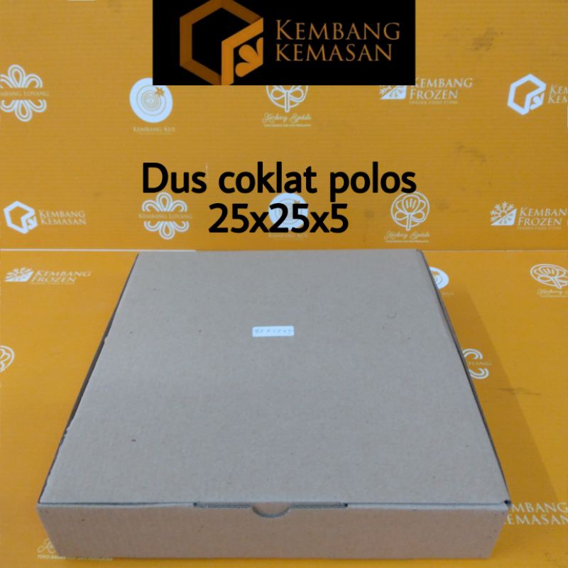 10 PCS DUS COKLAT TEBAL PIZZA BOX 25X25X5
