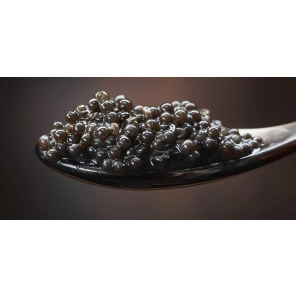 

Calvisius Royal Beluga Sturgeon Premium Caviar 25gr Telur Ikan Hitam