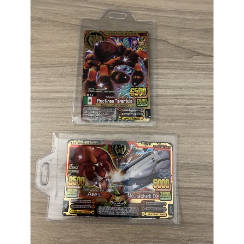 Animal Kaiser Ares vs Mecha Shark Dx & Red Knee Tarantula