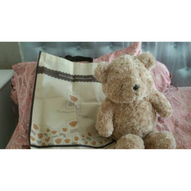 Preloved Teddy Bear asli Teddy House