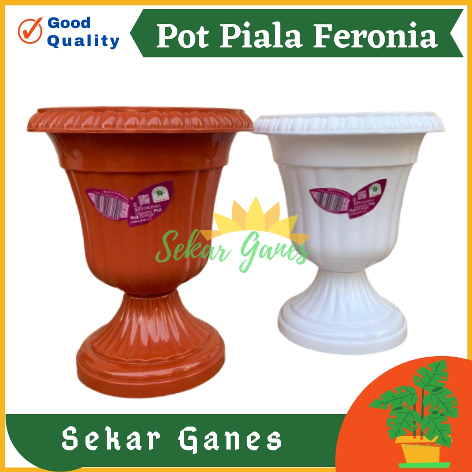 POT PIALA GREEN LEAF FERONIA 6152 PUTIH MERAH BATA TERRACOTA MERAH COKLAT Pot Piala Tinggi Putih Plastik hitam pendek 50 - POT PIALA GREEN LEAF FERONIA 6152 pot bunga pajangan model juara cantik bagus murah