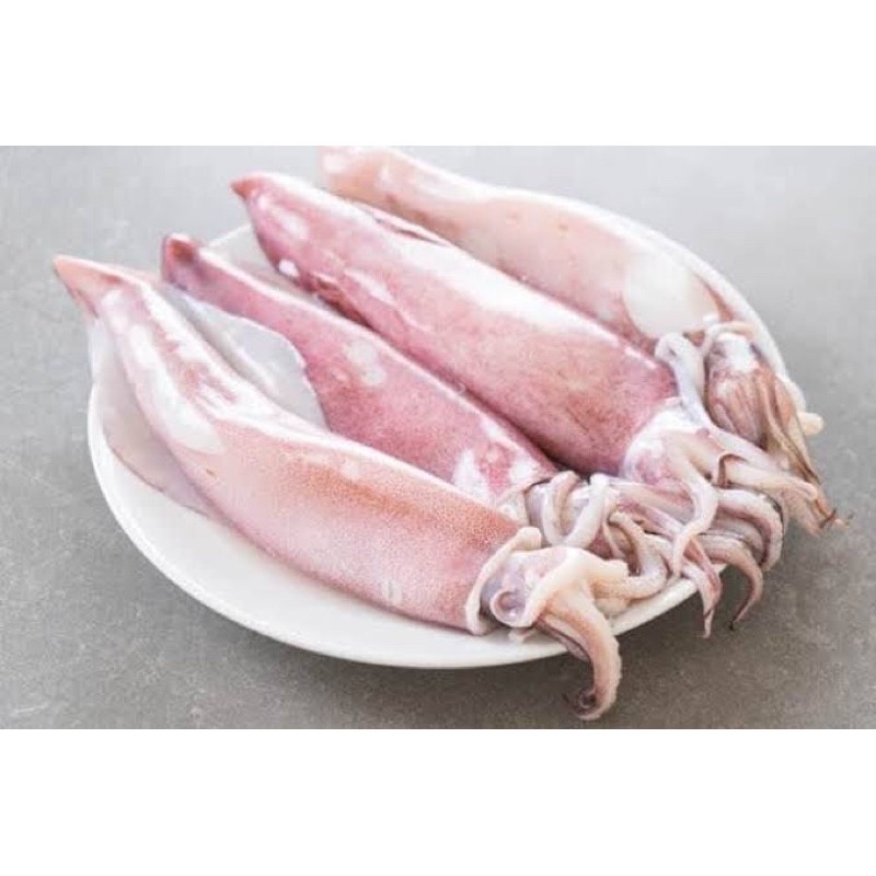 

FreshPAK - Cumi Sero Segar 500gr / Hasil Laut Segar