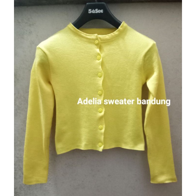 Bailey Cardi Rajut | Crop Angel Crop TOP | Ada Harga Ada Kualitas-2