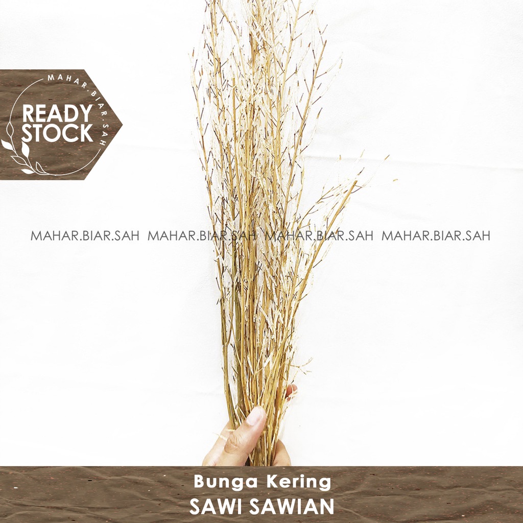 RS 4 Gr Bunga Kering Sawi - Sawian