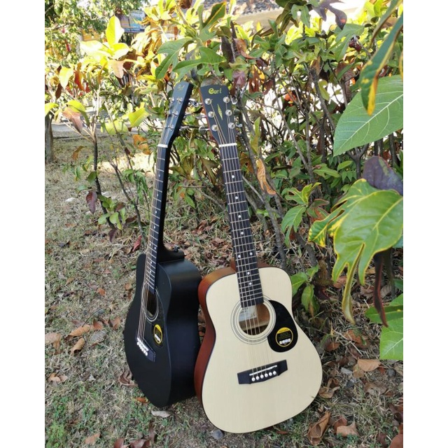 Gitar Akustik Cort 3/4 Custom