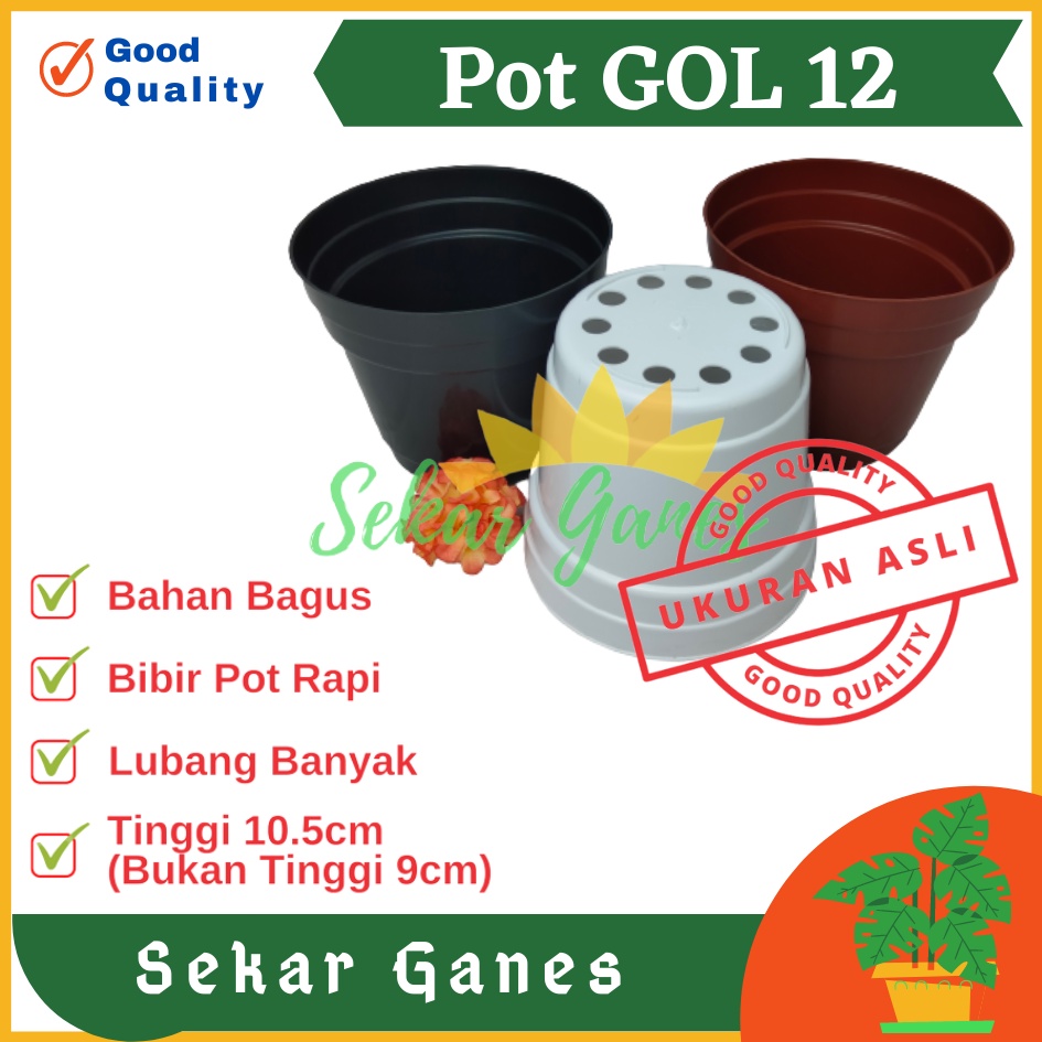 Pot 12 Cm Putih Hitam Merah Bata Merah Coklat Terracota Terracotta - Pot 12 Hitam Kecil Mini Minimalis Plastik Kaktus Sukulen Mini Murah Pot Bibit Pembibitan