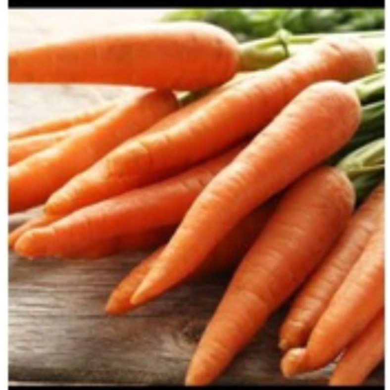 

wortel segar 500gr