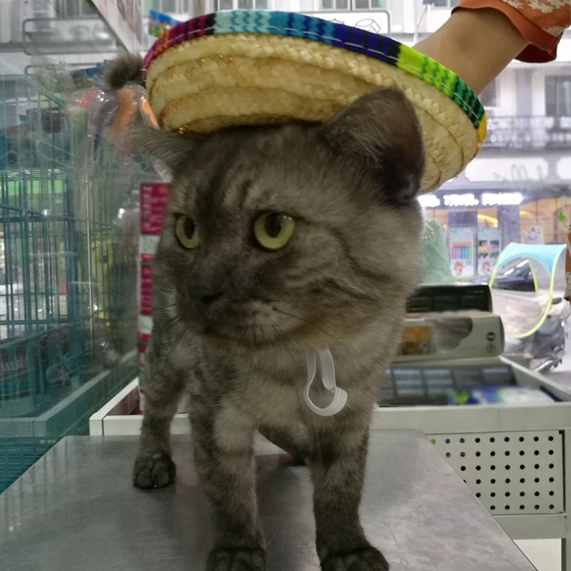 Topi Sombrero Mini Adjustable Bahan Jerami Untuk Anjing / Kucing